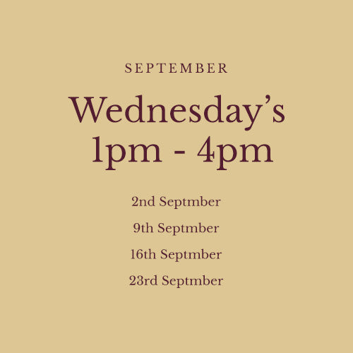 Pottery Wheel Classes
