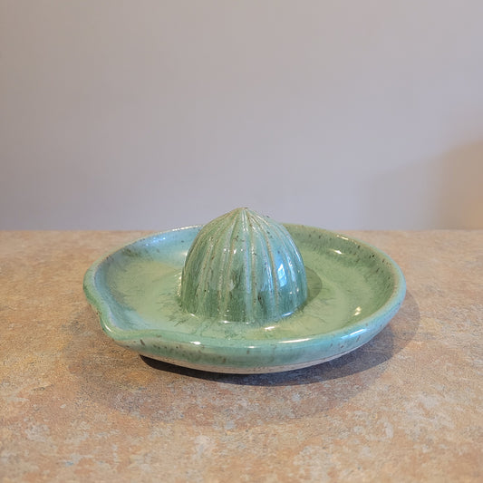 Citrus Juicer